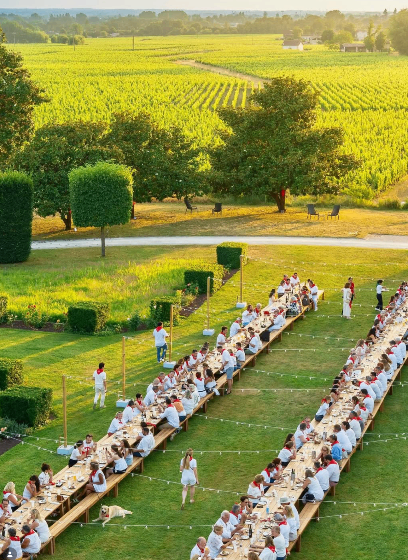 Banquet du Sud-Ouest au Château Grand Barrail à Saint-Émilion